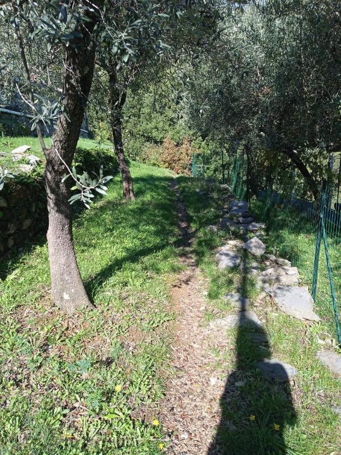 Le Vigne Di Lenf Lejlighed Porto Venere Eksteriør billede